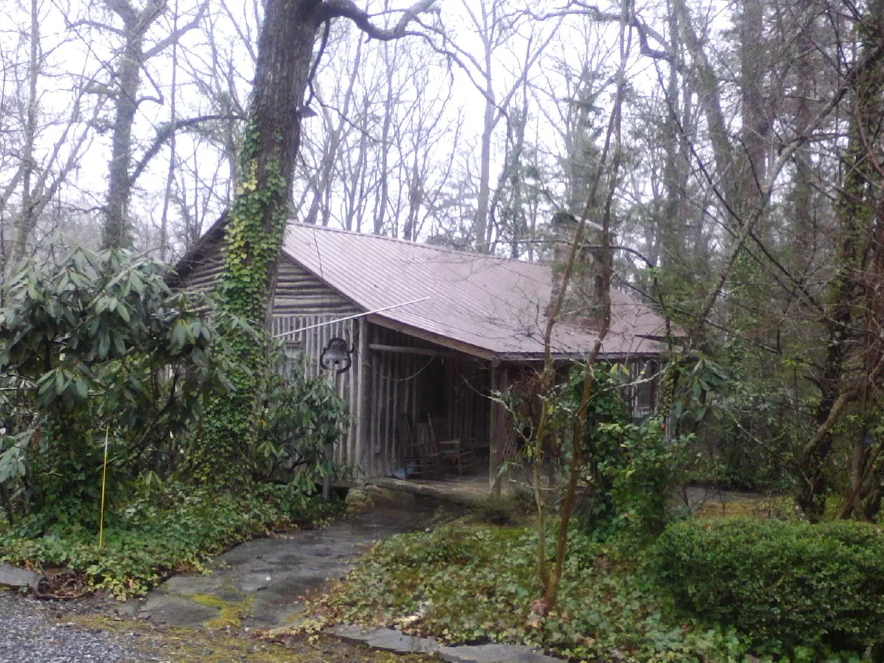 Weathered metal roof on an old board sided cabin in the woods in Carmel Valley